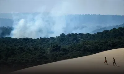 La France a chaud, plus de 10.000 hectares brûlés en Gironde