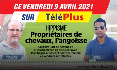 Hippisme : la parole aux propriétaires