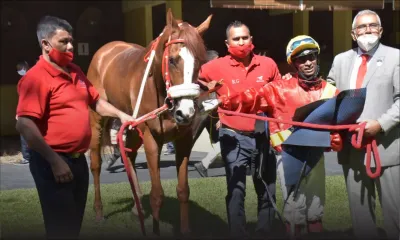 Hippisme : Yankee Force ouvre le bal