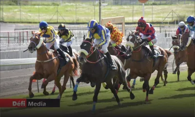 Hippisme : La Horse Racing Division devient membre de l’Asia Racing Federation