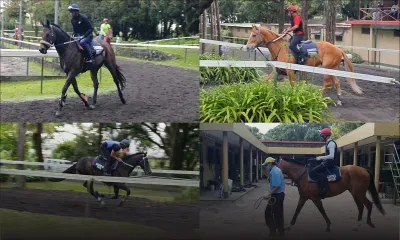Hippisme - Bonjour Floréal : les chevaux de Gujadhur sur la bonne voie