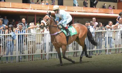 Hippisme : deux semaines de suspension pour le jockey Darryll Holland