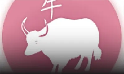 Travaux d’amélioration et d’embellissement: la plage publique de La Cambuse prend forme