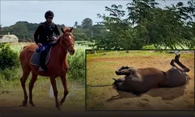 La vie douce des anciens héros des courses