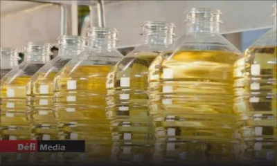 Retard dans la livraison : la STC achète un million de litres d’huile sur le marché local