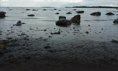 Wakashio : les élèves d'Emmanuel Anquetil SSS sont rentrés plus tôt à cause d'une odeur incommodante  