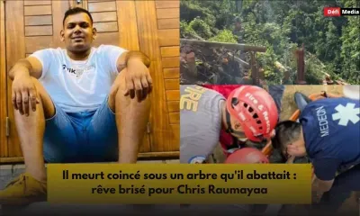 Il meurt coincé sous un arbre qu'il abattait : rêve brisé pour Chris Raumayaa