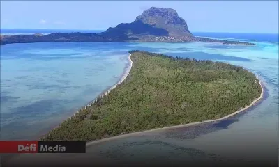 Nettoyage sur l’Ile-aux-Bénitiers : Virginia Lamarque apporte une précision
