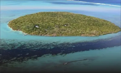 L'île-aux-Aigrettes : les activités reprennent à partir du 1er octobre