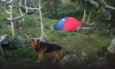 Rodrigues : trésor à Saint-François, le Mouvement indépendantiste rodriguais campe à proximité du site