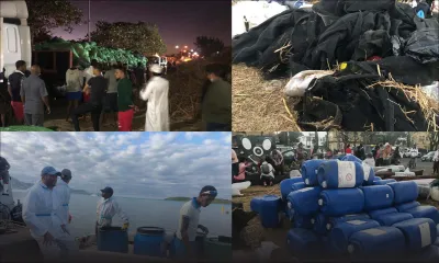 Marée noire : Johaness Group met la main à la pâte