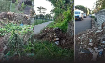 La ville des fleurs transformée en dépotoir