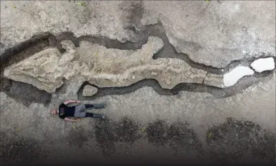 Royaume-Uni : un énorme fossile de « dragon des mers » découvert