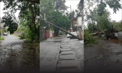 À Sainte-Croix : Un pylône électrique et des arbres cèdent