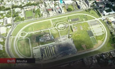 Linion Moris plaide pour une «gestion compétente» du Champs de Mars