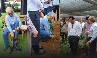 Valetta : Le groupe ENL se lance dans la production de thé