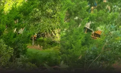 Deux morts et trois blessés à Chamarel : un camion termine sa course dans un ravin