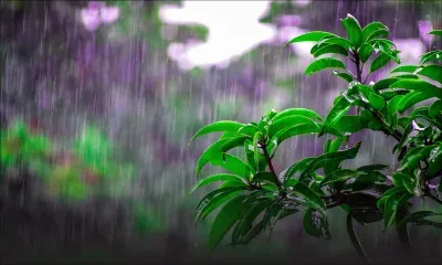 Avertissement de pluies torrentielles : 135,6 mm enregistrés à Grand-Bassin