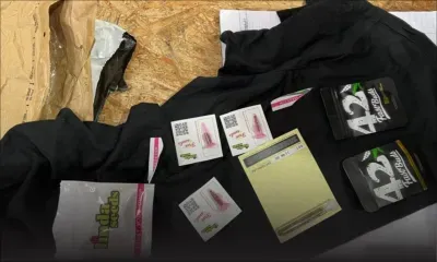 Des semences de cannabis en provenance d’Espagne saisies à Plaine-Magnien