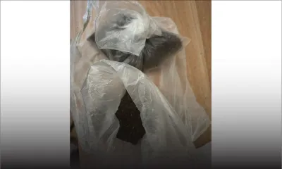 Saisie de drogue de synthèse estimée à Rs 1 million sur deux jeunes