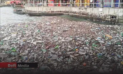 [Blog] 350,000 Eco Warriors vs Plastic: The Real Battle Has Begun