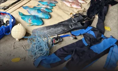 Pêche illégale : un fusil sous-marin et 33 kg de poissons saisis