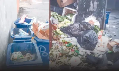 Infestation de rats, insalubrité… : Curepipe, entre modernisation et malaise urbain