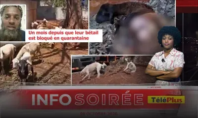 [Info Soirée] : «Apre peser, elever ki pe ramass problem aster»