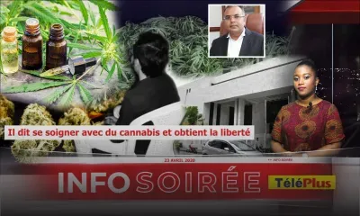 [Info Soirée]  Un tôlier de l'Est : «Mo servi kanabis parski mo la sante finn gate ek tiner» 