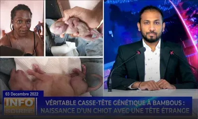 [Info Soirée] «Li pena zorey, li ena tromp me li pa ti pe kapav respire»