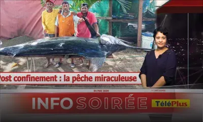 [Info Soirée] : Herold Mandarin « Dan al la pes ton, pu enn cari, nou finn gagn enn marlin 250 kilos »