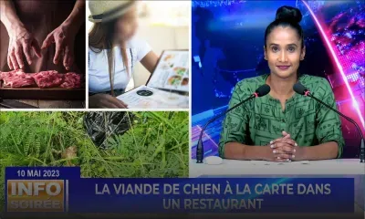 [Info Soirée] : «Travayer pe dir klian kontan spesialite toutou»