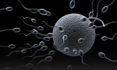 Père de neuf enfants après 35 ans de mariage, il apprend qu'il a toujours été stérile 