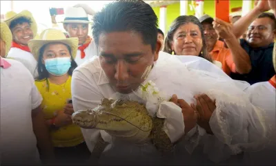 [Insolite] Mexique :  Il épouse un alligator