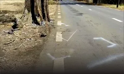 Beau-Plan : une voiture termine sa course contre un arbre ; un mort