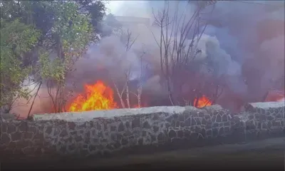 Port-Louis : Violent incendie à la route Militaire