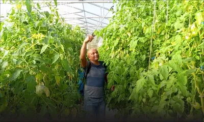 Vikesh Mohun : l’homme à la main verte