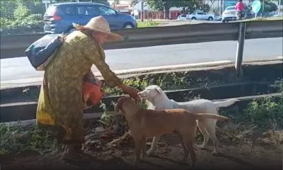 Elle dépense presque toute sa pension pour nourrir les animaux 