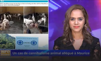 [INFO SOIRÉE] : Cannibalisme animal allégué «Zot ti pe manz lapat lisien malad la»