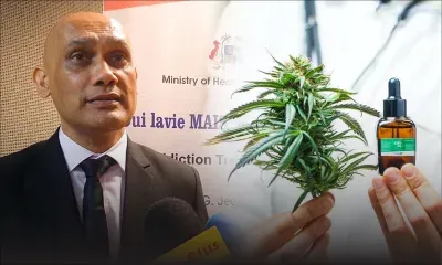 Un premier médicament à base de cannabis sera disponible dès cette semaine dans les centres de santé publics 