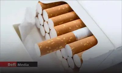 Lutte contre le tabagisme : le paquet de cigarettes neutre introduit le 31 mai