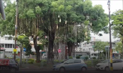 Squat : appel aux SDF du jardin de Plaine-Verte à se rendre dans des abris