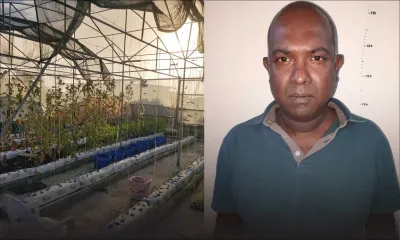 Culture de cannabis hydroponique : le policier Jeeneea était sous surveillance depuis trois semaines