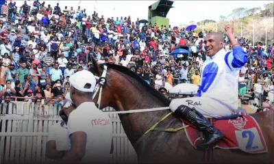 Hippisme : Twist Of Fate offre à Joorawon sa quatrième Maiden Cup