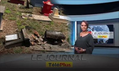 Le JT – Découverte de tombes vandalisées le jour de la fête des morts, 20 familles portent plainte