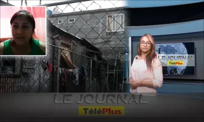 Le JT – La police porte secours à un petit garçon enfermé dans une maison à Plaine-Verte