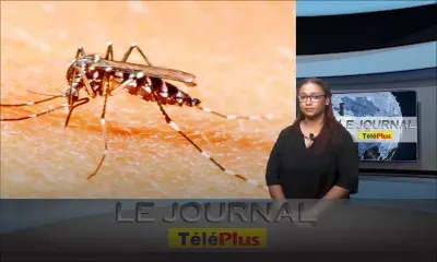 JT : Un cas importé de dengue répertorié à Maurice 