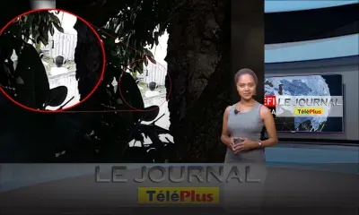 Le JT : une infirmière tire deux coups de feu à la prison lors d’une initiation illégale