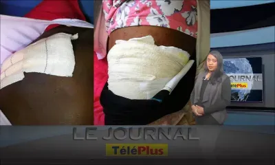 Le JT - La Valette, Bambous : une femme de 29 ans agressée sauvagement à la tronçonneuse