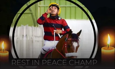 Hommage : Nooresh ou le champion qui galope parmi les anges